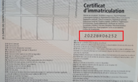 Le numéro de formule sur une carte grise.