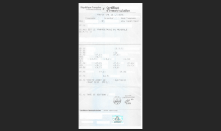 Carte grise ancienne génération.