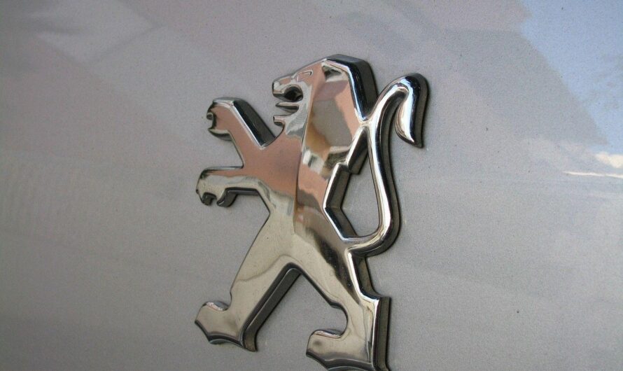 Carte grise Peugeot : prix et documents
