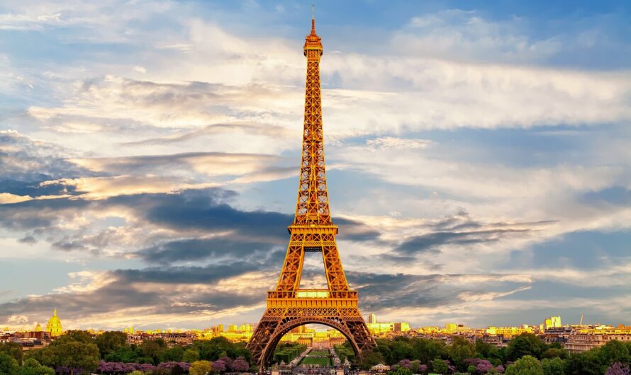 Carte grise en Île-de-France : prix et démarches